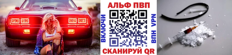 даркнет какой сайт Городец Alfa_PVP СК КРИС