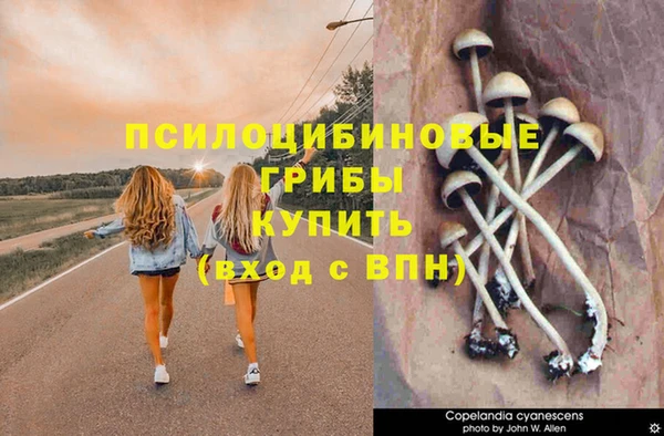 прущая мука Аркадак