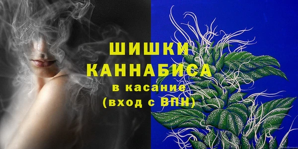 трава Арсеньев