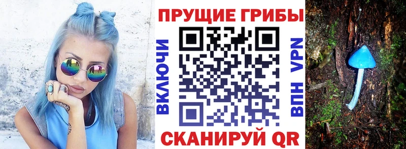 Галлюциногенные грибы Psilocybine cubensis  Городец 